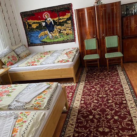 Camere de închiriat Floarea reginei Vişeu de Sus Extérieur photo
