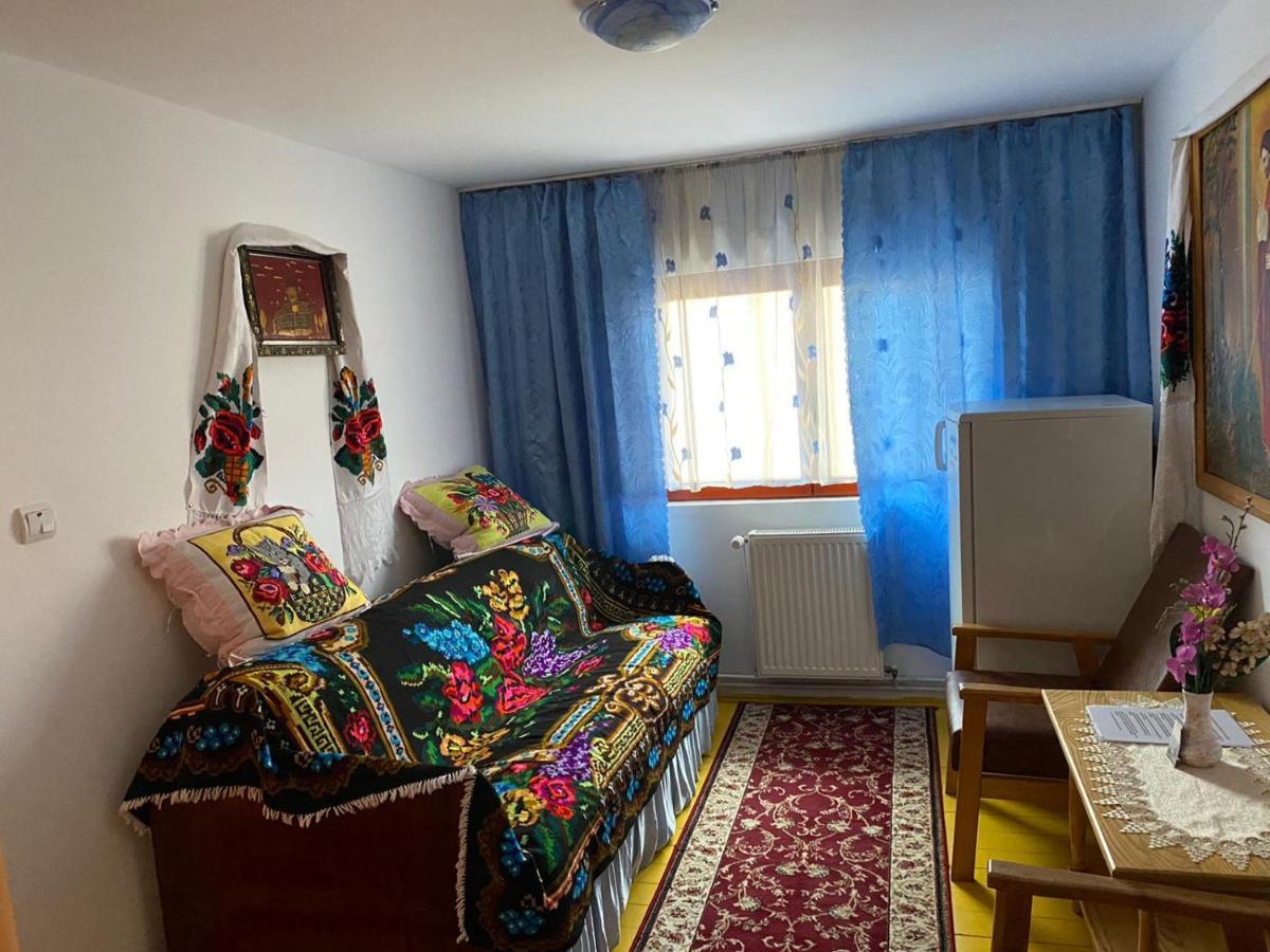 Camere de închiriat Floarea reginei Vişeu de Sus Extérieur photo