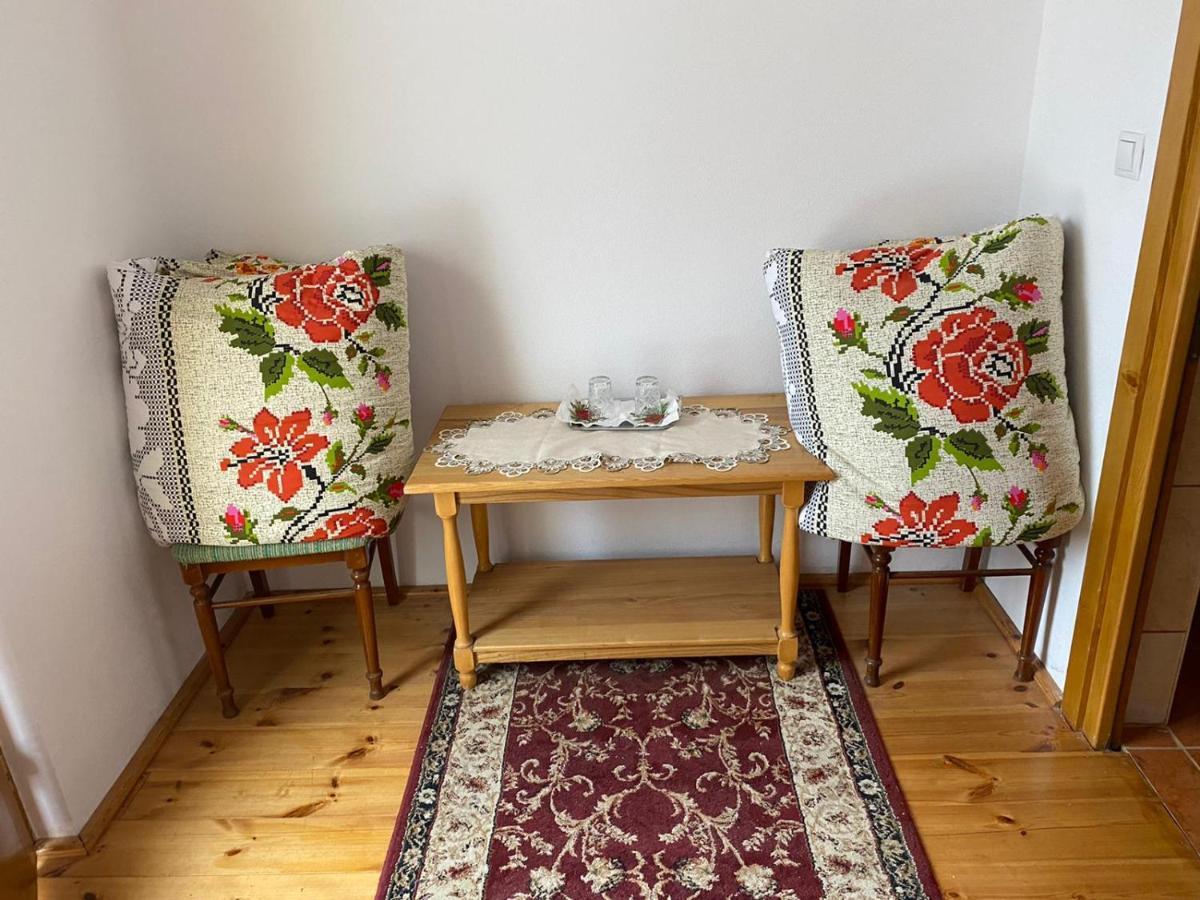 Camere de închiriat Floarea reginei Vişeu de Sus Extérieur photo