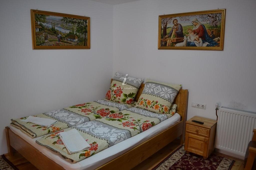 Camere de închiriat Floarea reginei Vişeu de Sus Extérieur photo